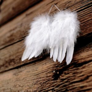 feathers, wing, angel wings, wood, old wood, christmas motif, angel, christmas, angel wings, angel wings, angel wings, angel wings, angel wings